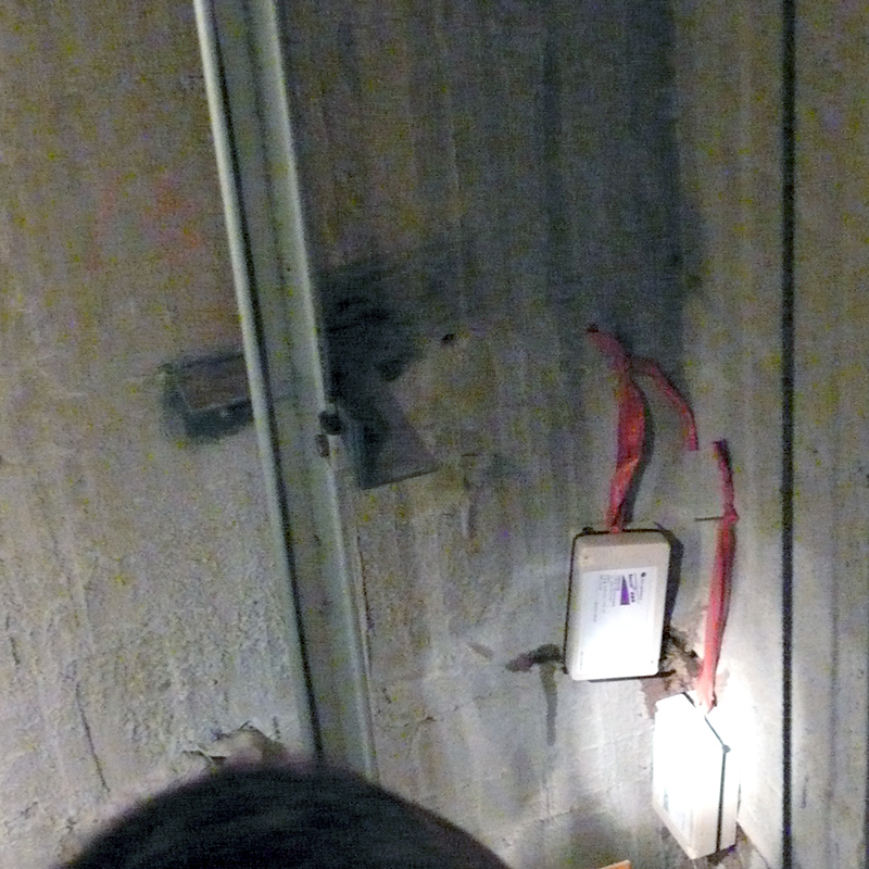 台北白蟻防治